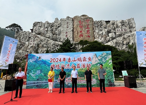 泰山泉水清，螭霖鱼中龙—泰山螭...